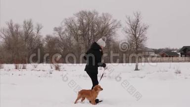 圣诞节早晨，女孩在冬天的公园里玩狗。 狗和女孩在雪地里奔跑。